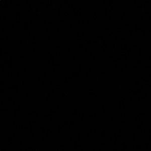 Meet your Posher, Miguel